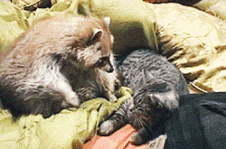 운명의 상대를 만났을 때... | 인스티즈