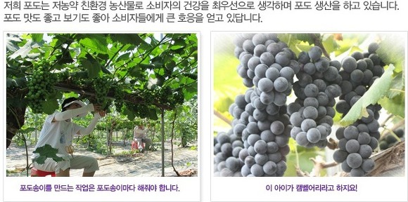 포도맘 이미지