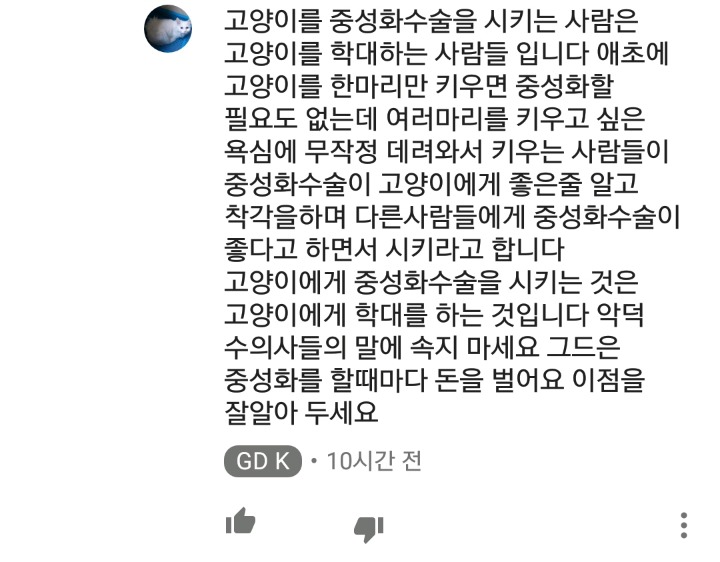 가정집 고양이공장같은 애니머호더 유튜버 봐줘라 | 인스티즈
