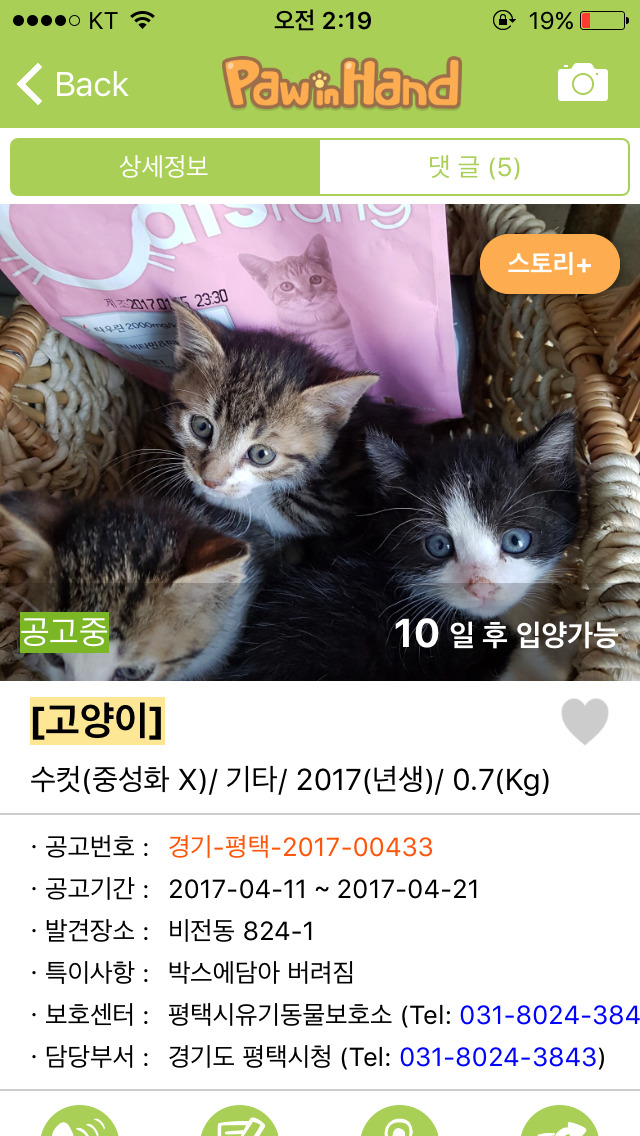 반려동물 키워보고 싶은 사람들에게 추천하는 어플 | 인스티즈