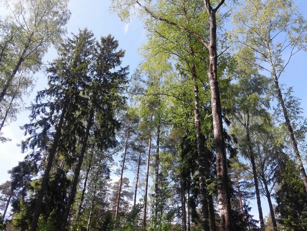 2337753E588047F50B602D