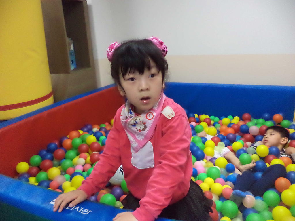 꽃피는 이미지