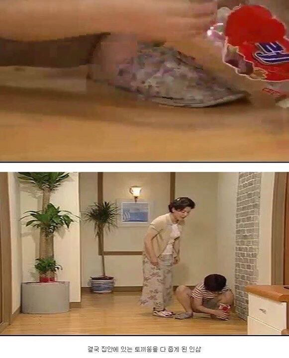 다시보는 레전드 토끼사건 | 인스티즈