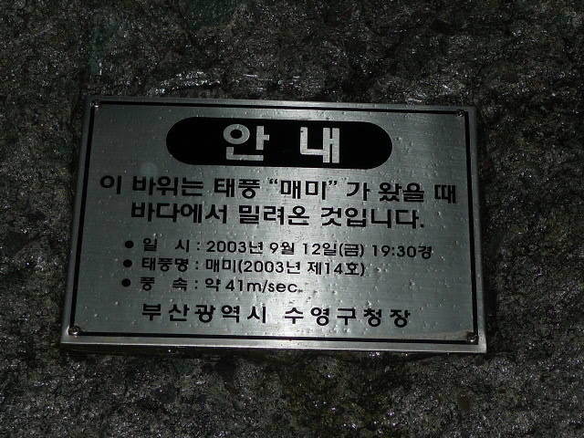 03년 9월 매미로 인해서 쑥대밭이 된 영남지역.jpg | 인스티즈
