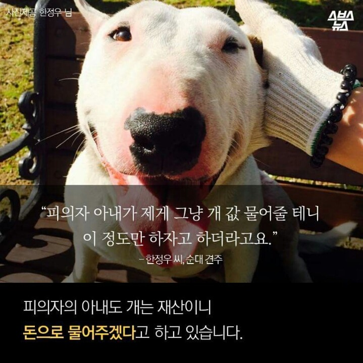 제 강아지가 잡아 먹혔습니다.jpg | 인스티즈