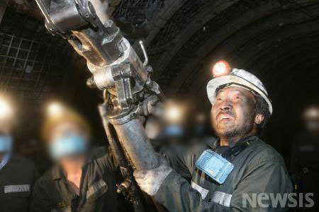 흙오이 효과 (Soil Cucumber Effect) | 인스티즈