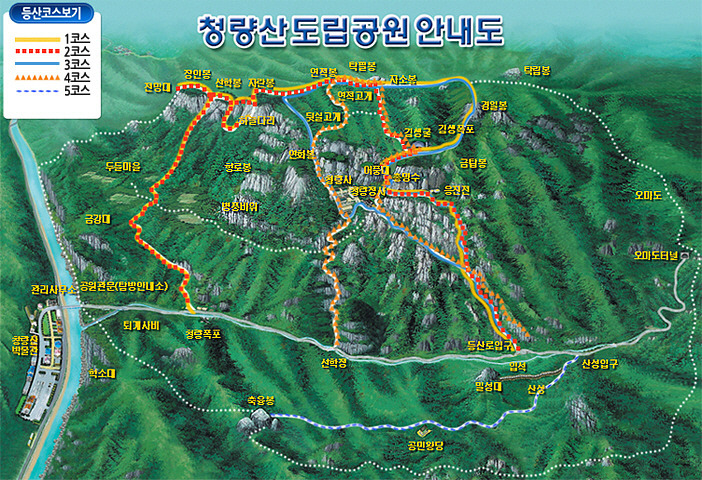 량 이미지