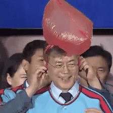 머리위에 뭘 얹기만 하면 짱덕터지는 이니.jpgif | 인스티즈