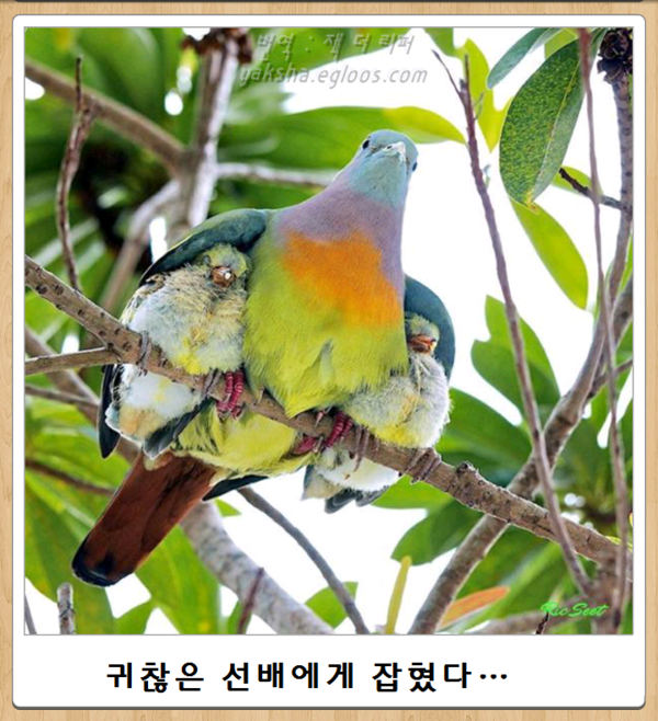 오늘자 최신 보케테(15) | 인스티즈