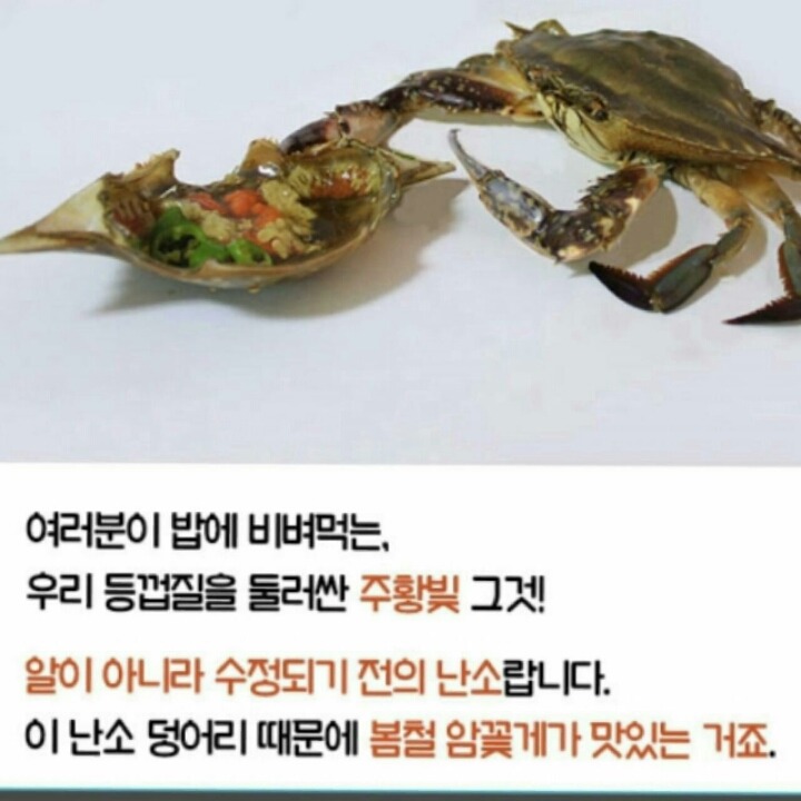 간장게장 먹는방법 | 인스티즈