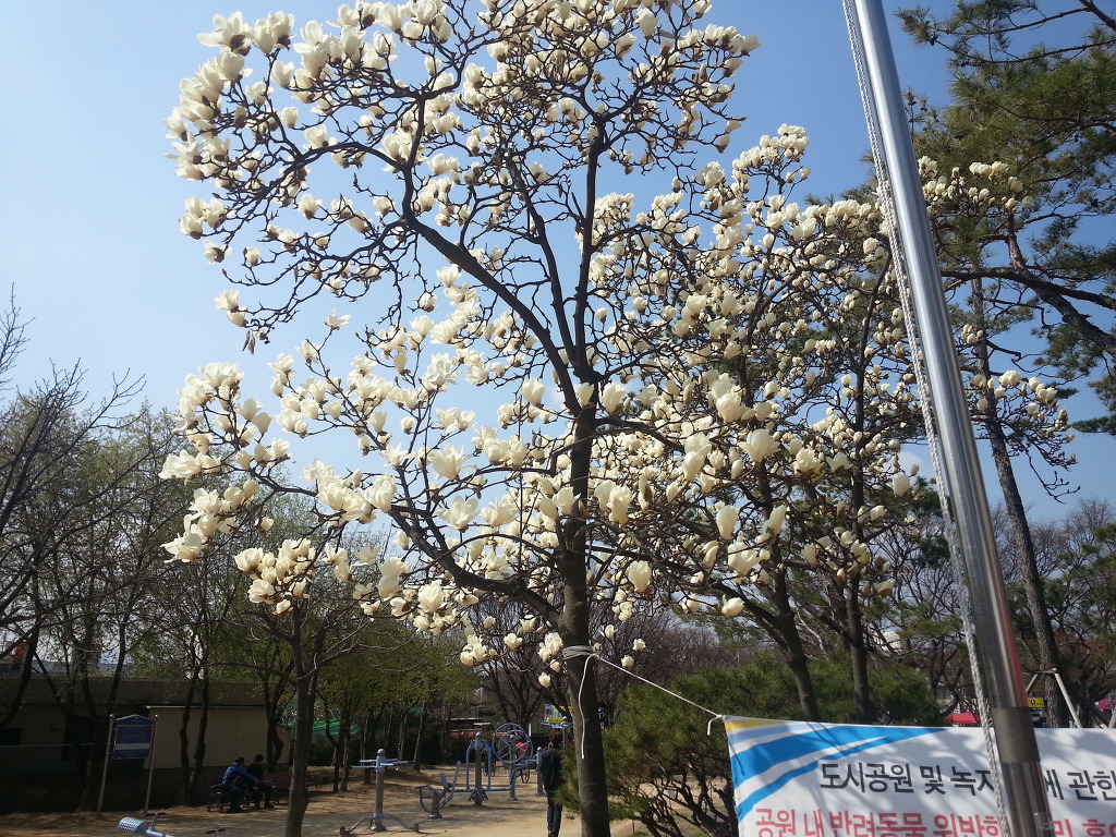즐거운하루 이미지