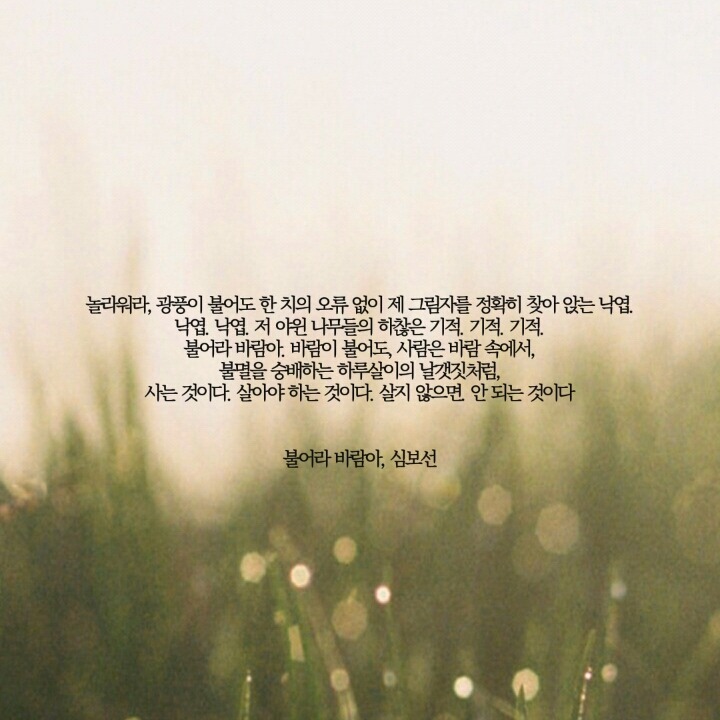  네 안에서 부는 바람에 너는 너무 오래 흔들린다 | 인스티즈