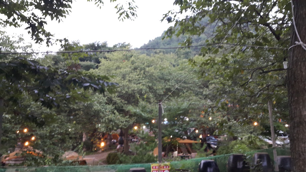 부산농원 이미지