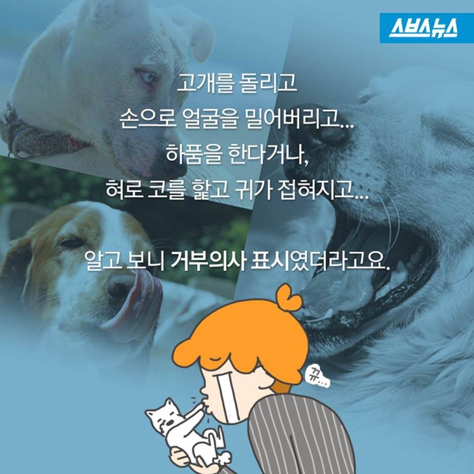 개들이 뽀뽀를 피하는 이유.jpg | 인스티즈