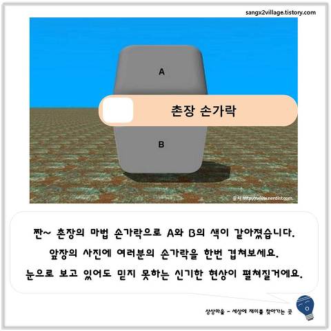 신기한 착시 현상 | 인스티즈