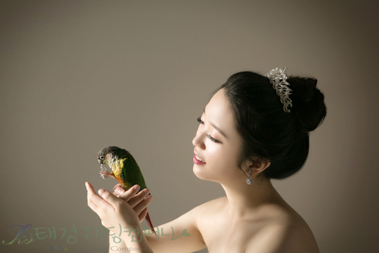 석스튜디오 이미지