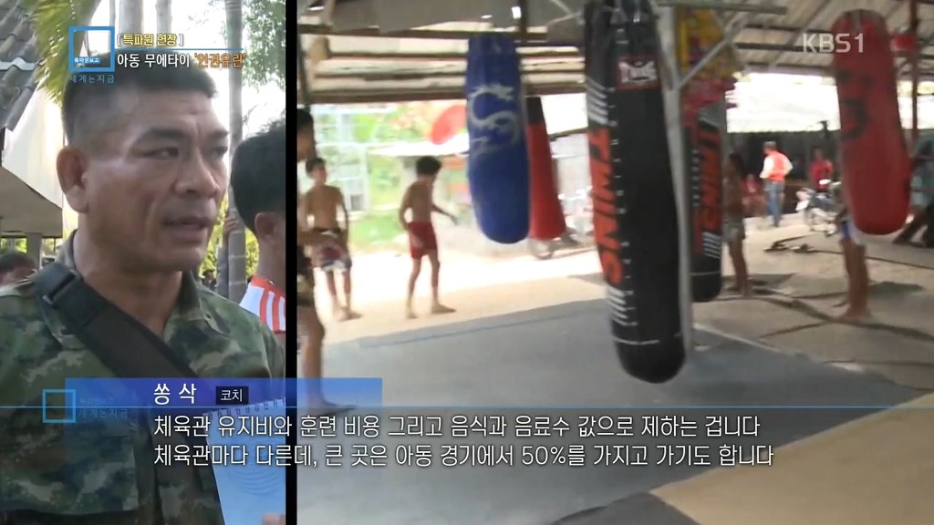 아동 무에타이 경기의 추악한 진실 | 인스티즈