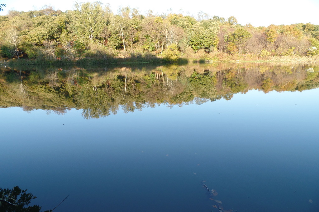전주 오송제 호수에 비추인 동화 속 가을 풍경 사진을 전체 확대한 모습 감상 | 인스티즈