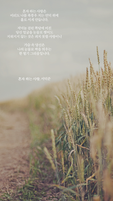 예쁜 시 구절이 적힌 폰배경화면 여섯 번째.jpg | 인스티즈
