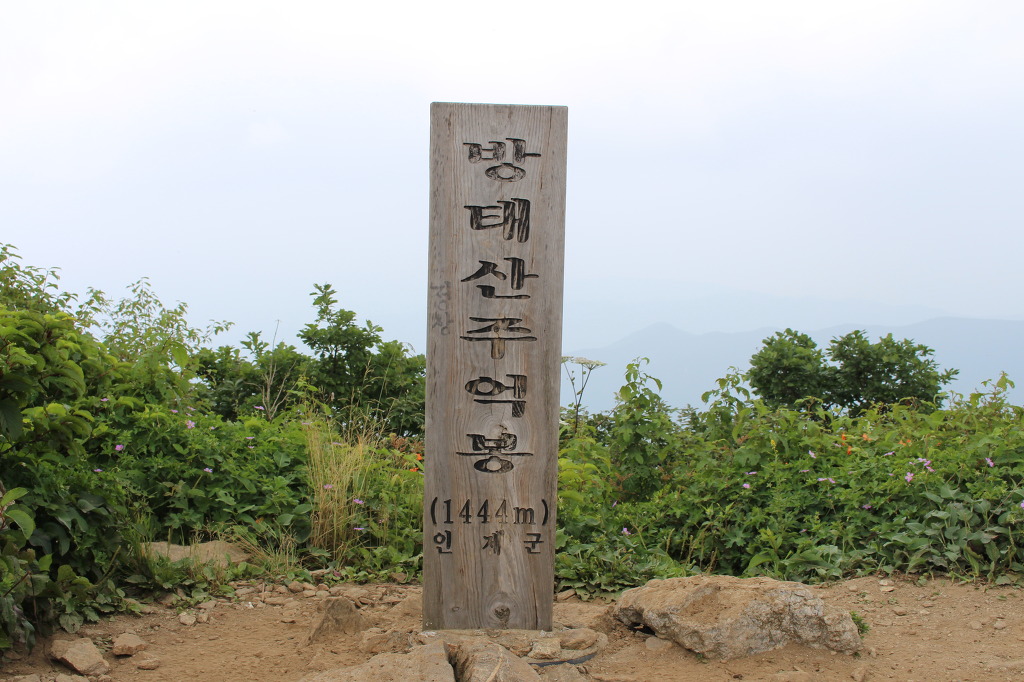 지당골식당 이미지