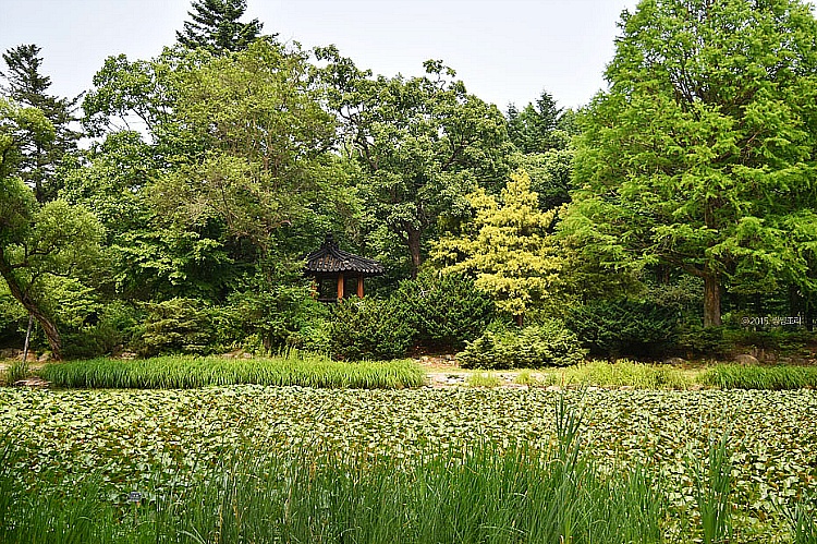 국립수목원 이미지