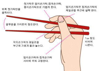 올바른 젓가락질 방법.jpg | 인스티즈