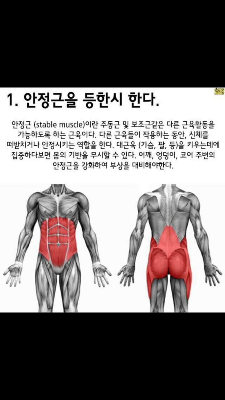 당신의 근육에게 하고있는 최악의 10가지 | 인스티즈