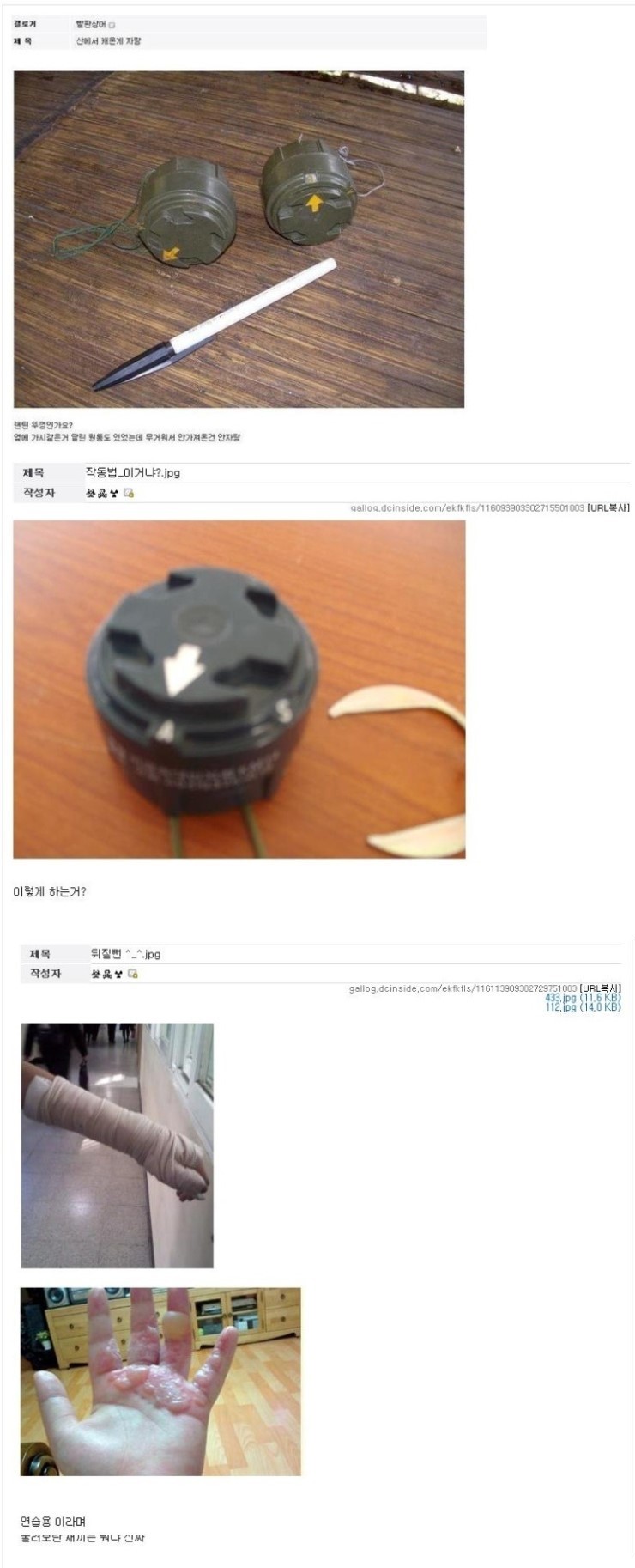 지뢰 주워온 디씨인.jpg (혐오주의) | 인스티즈