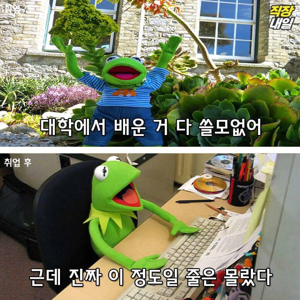 직장인이 되기 전과 후.jpg | 인스티즈