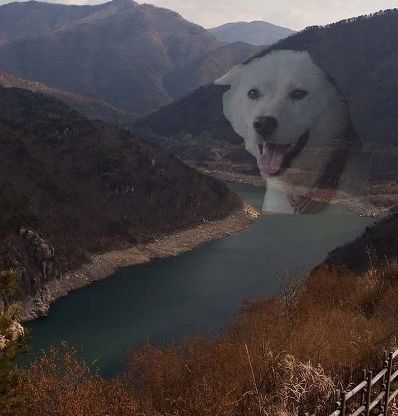 학창시절 내성적인 성격인 사람이 가장 고통받는 달 | 인스티즈