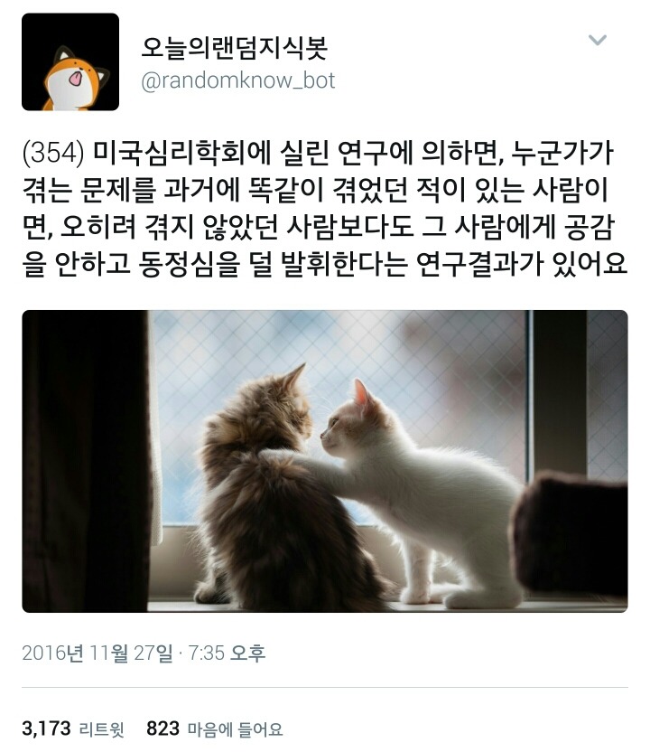 왕따 당하는 것을 견디지 못하는 사람을 욕하는 건 왕따를 당하고 견뎌낸 사람들이었음.twt | 인스티즈