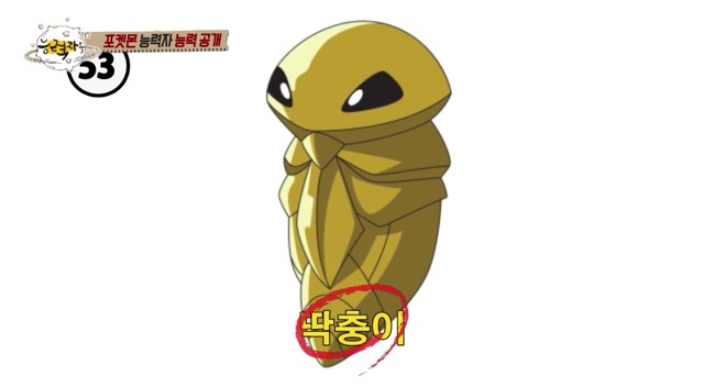 포켓몬 회사에서 인정한 연예계 대표 포켓몬 덕후 | 인스티즈