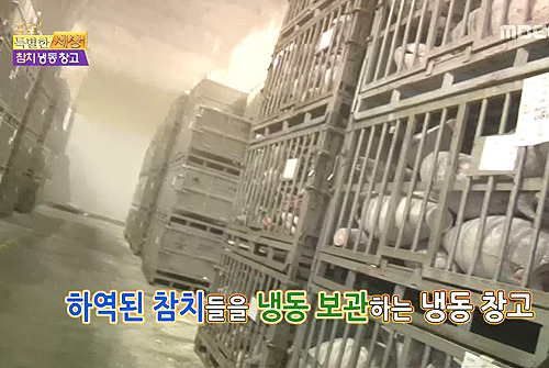 참치캔이 만들어지는 과정.jpg | 인스티즈
