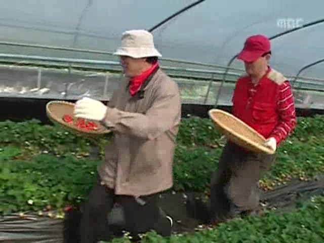 [거침없이하이킥] 봄바람 난 문희 | 인스티즈