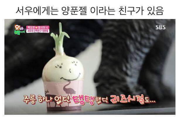 서우의 단짝친구를 요리재료로 쓴 백집사 | 인스티즈