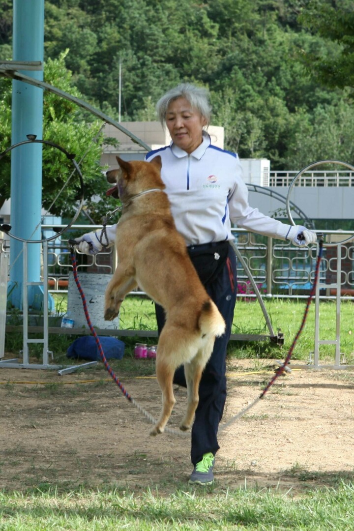 진명 이미지
