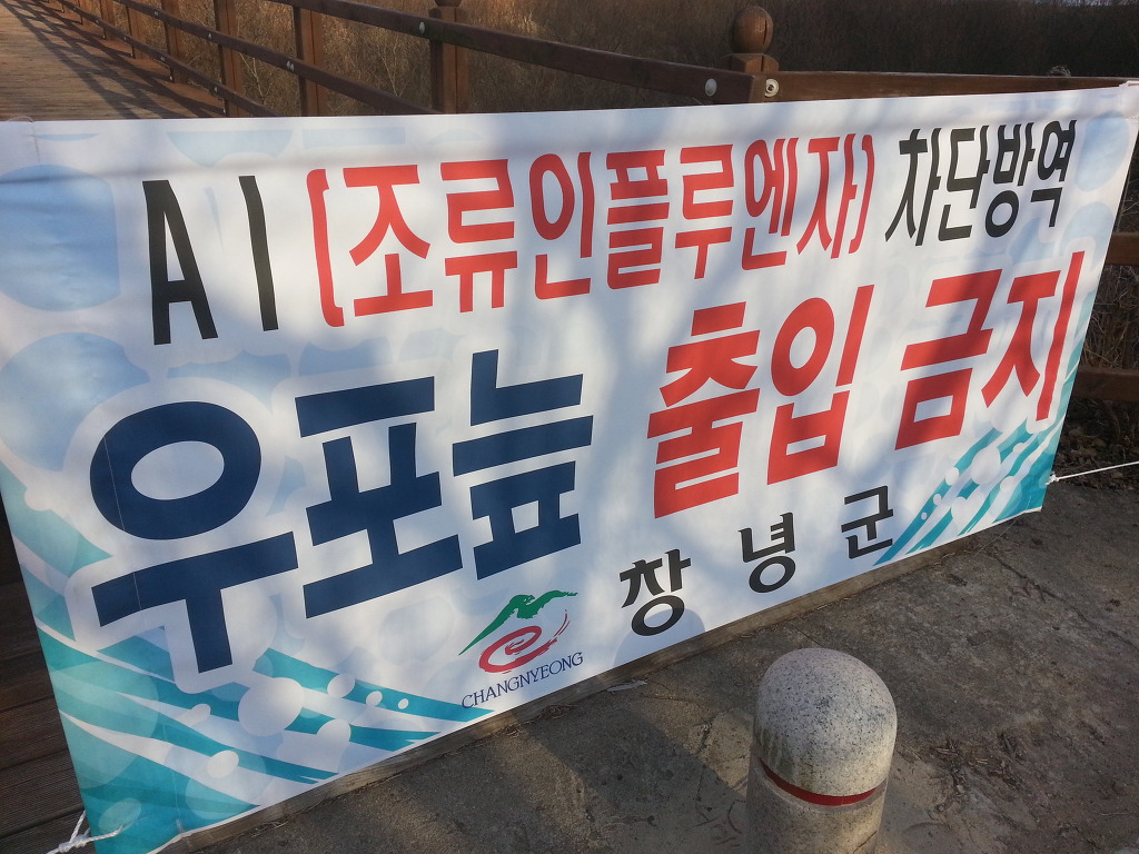 제일동빵 이미지