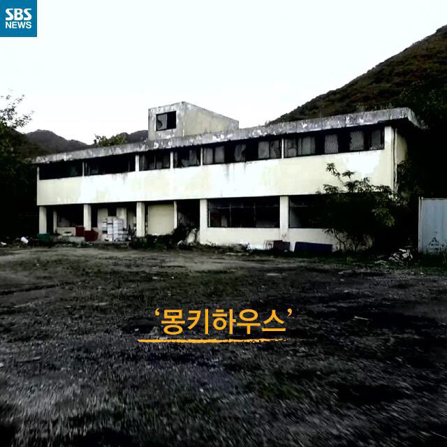 [그것이알고싶다] 우리는 원숭이가 아닙니다 | 인스티즈
