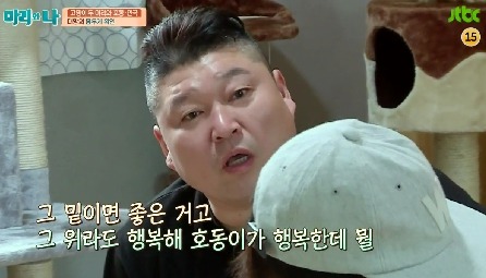 [마리와나] 뚱보냥 호동이 다이어트 시키기 (feat.먼지) | 인스티즈