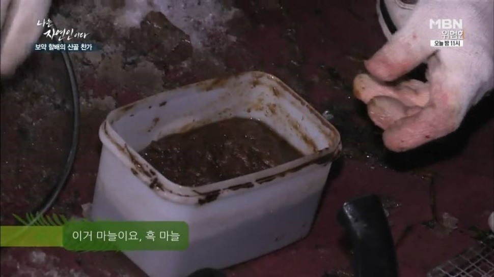 마늘 덕후 나는 자연인이다 | 인스티즈