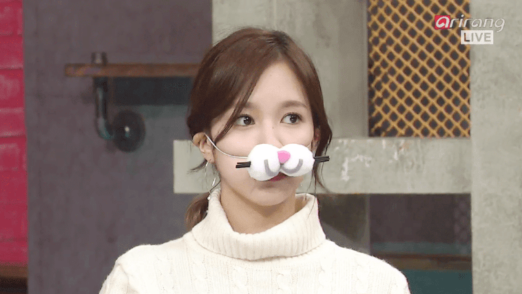 묘이 미나.gif+jyp | 인스티즈