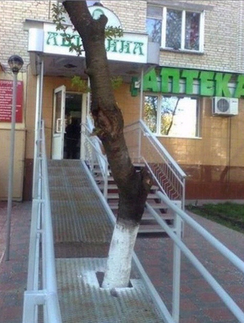 우야꼬 이미지