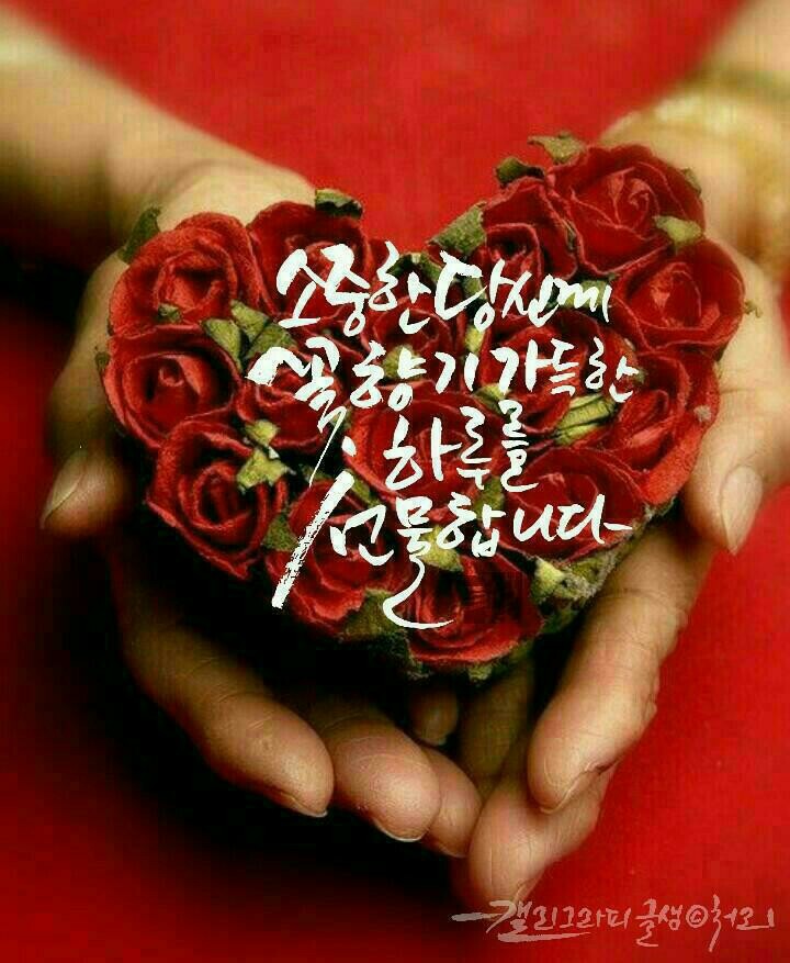 러브레타 이미지