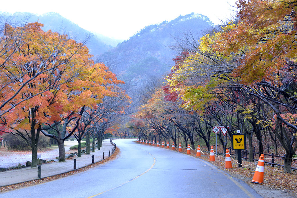 배창 이미지