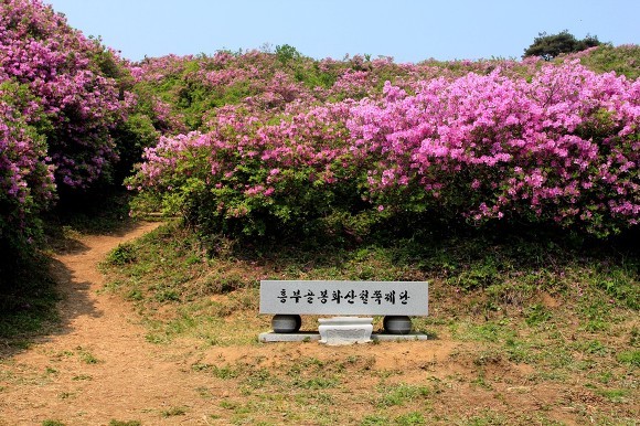 태화여행사 이미지