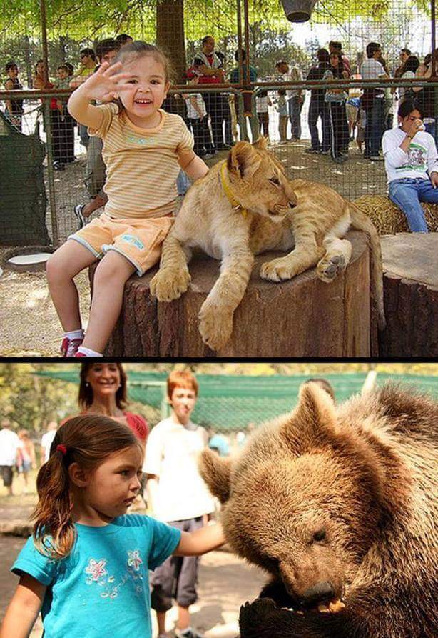 위험한 동물원 | 인스티즈