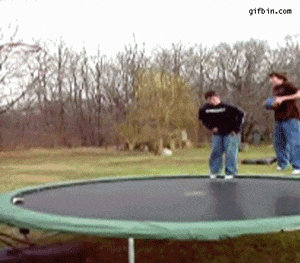 천조국 사람들한테 공을 주면 생기는일 | 인스티즈