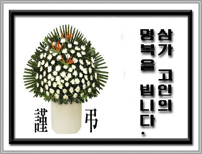 이*영 이미지