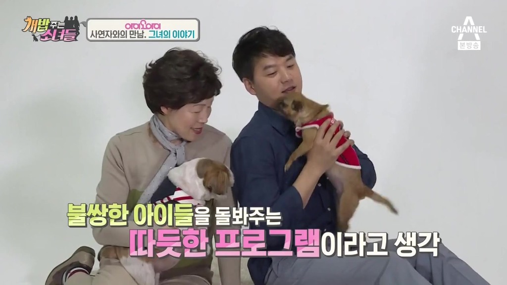 반려견 떠나보내는 암 말기 환자 ㅠㅠㅠ | 인스티즈