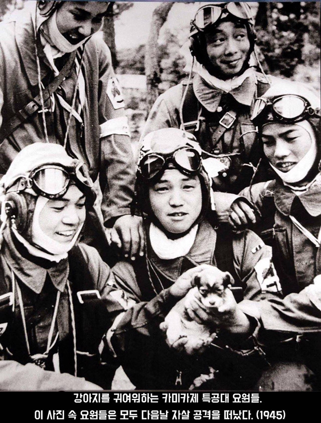 사진에 담긴 역사적 순간 | 인스티즈